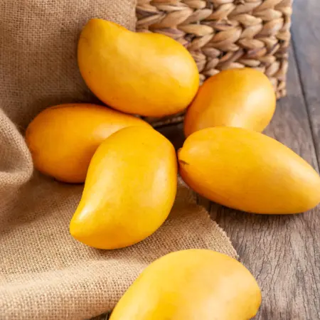 Premium Mangoes