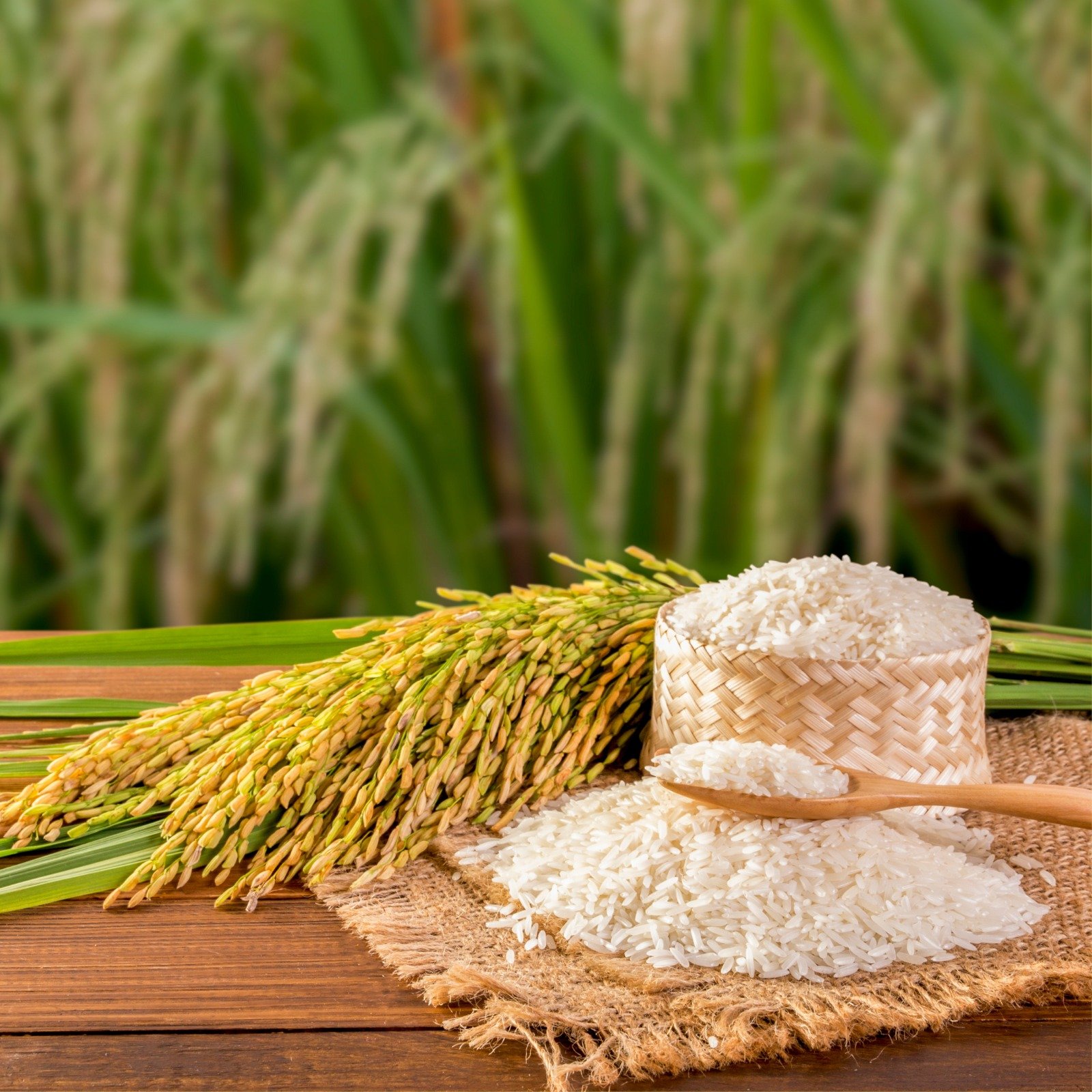 Quality Rice